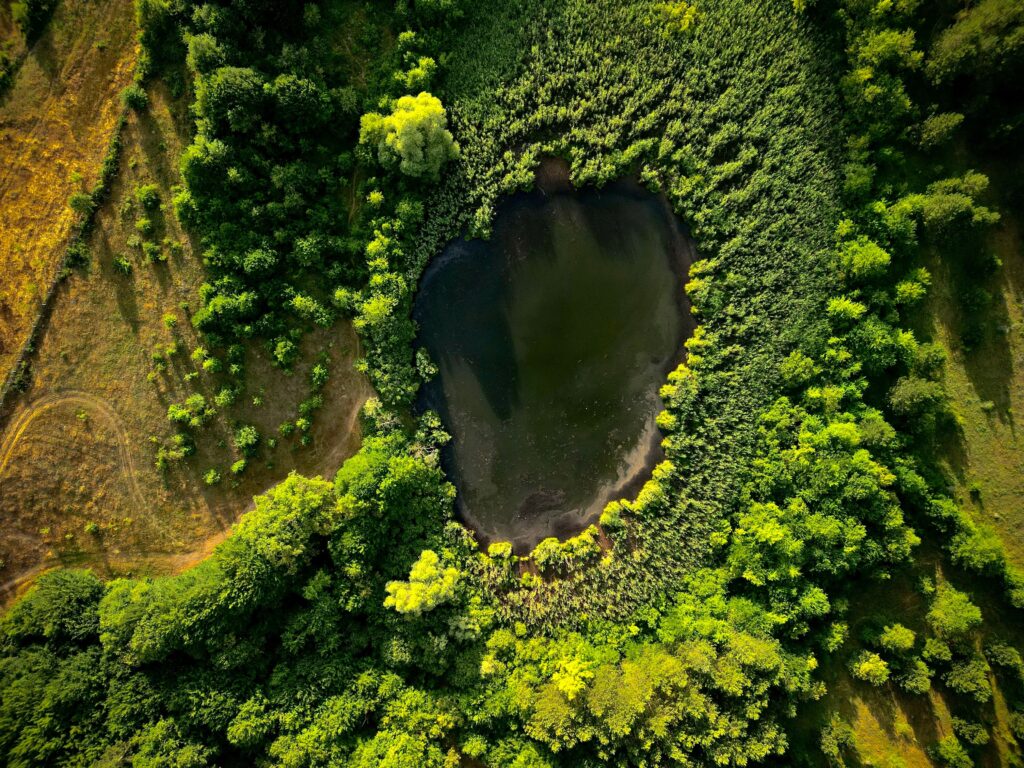 Aerial view showing a tranquil pond surrounded by lush green vegetation, creating a serene natural setting.