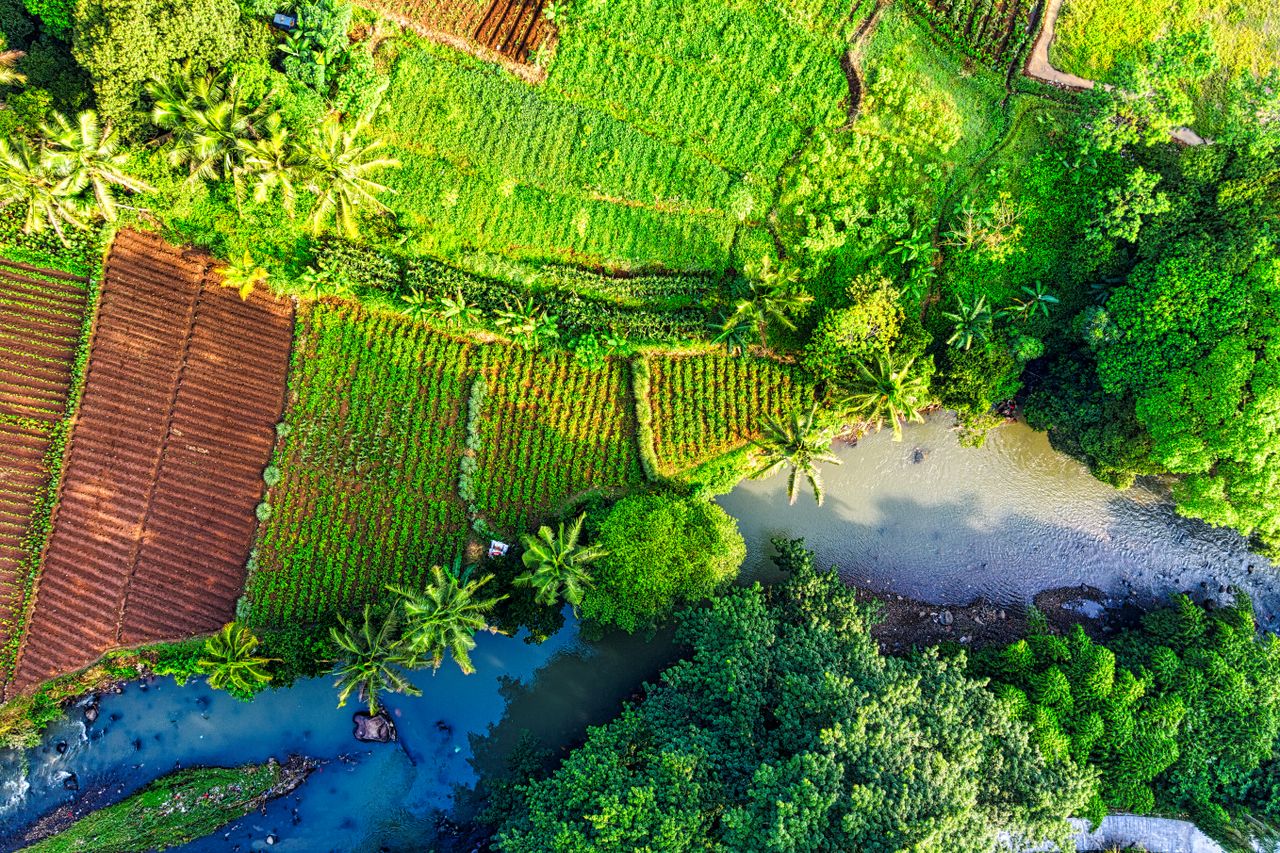 Aerial view of vibrant farmland and river in West Java, Indonesia.